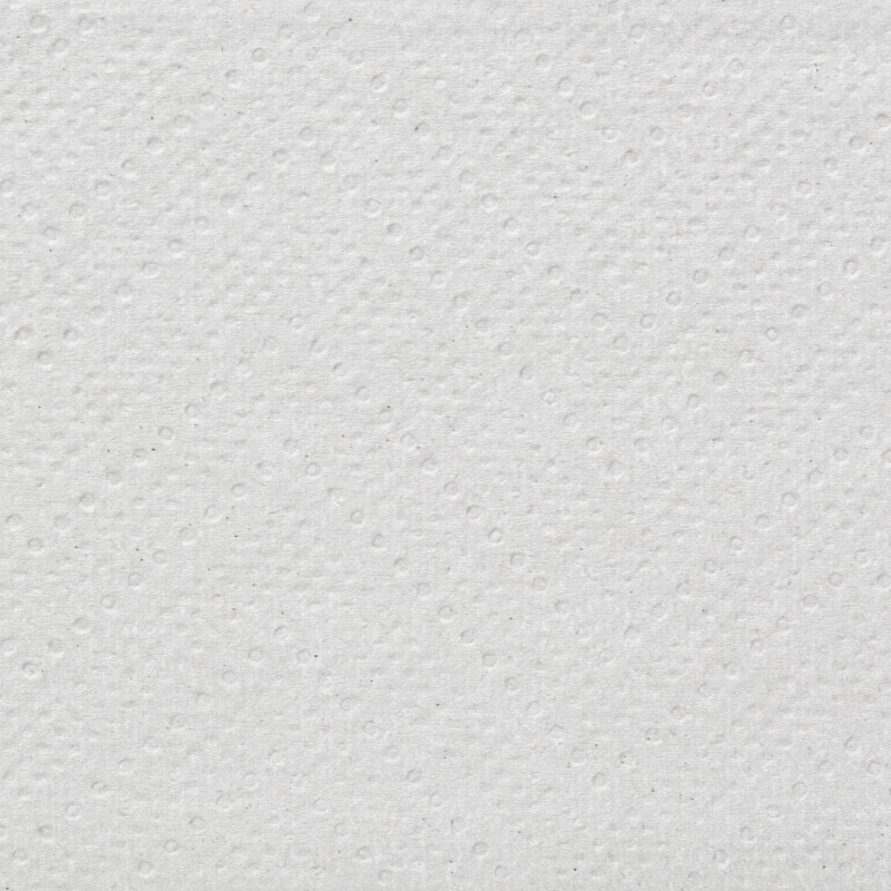 Полотенца бумажные д/дисп. Luscan Professional Zсл 2сл втор 200л 21пач/уп