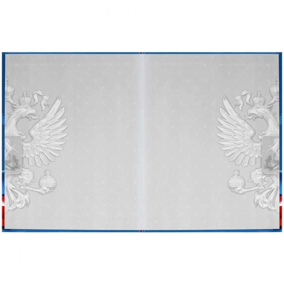 Дневник школьника СИМВОЛИКА ФЛАГ 7БЦ,А5+,48л,глянц. 69753