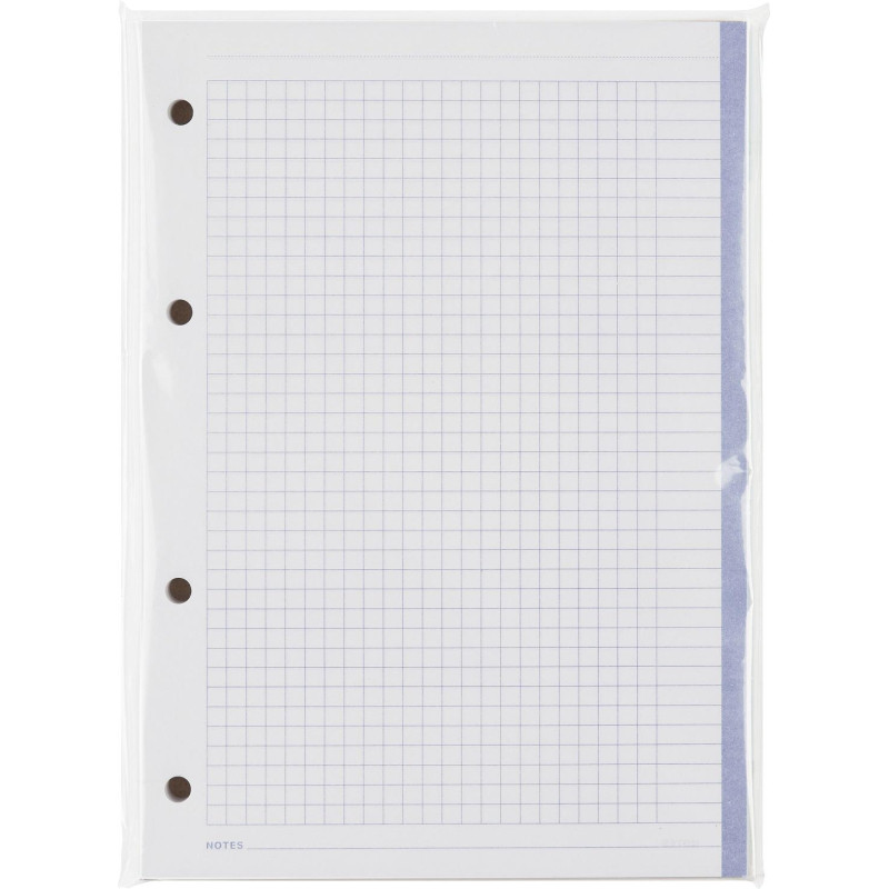 Сменный блок для тетрадей на кольцах, BeSmart А5 120л клетка Цветной N001d