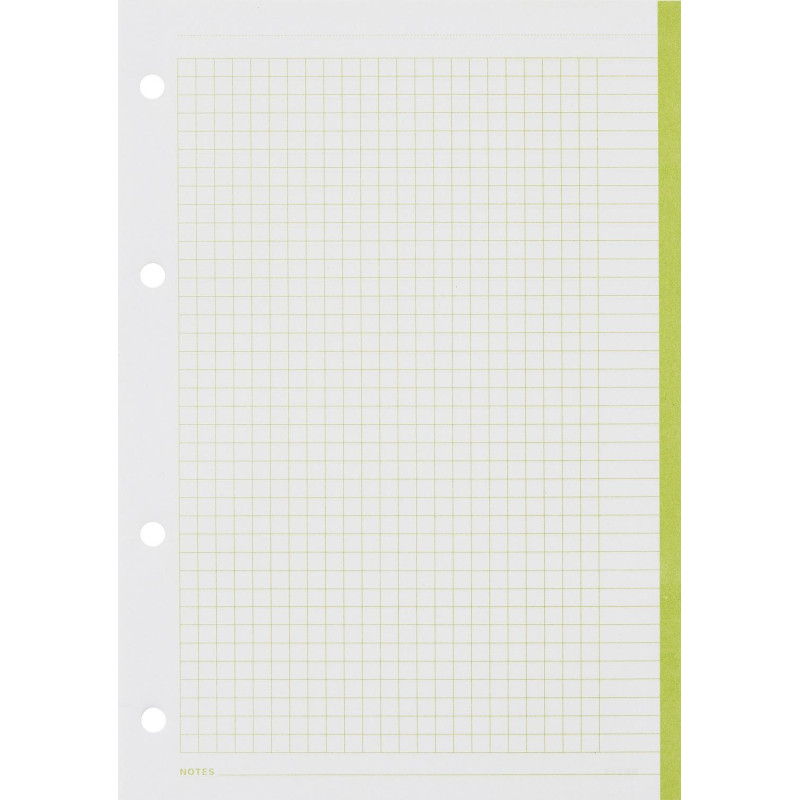 Сменный блок для тетрадей на кольцах, BeSmart А5 120л клетка Цветной N001d