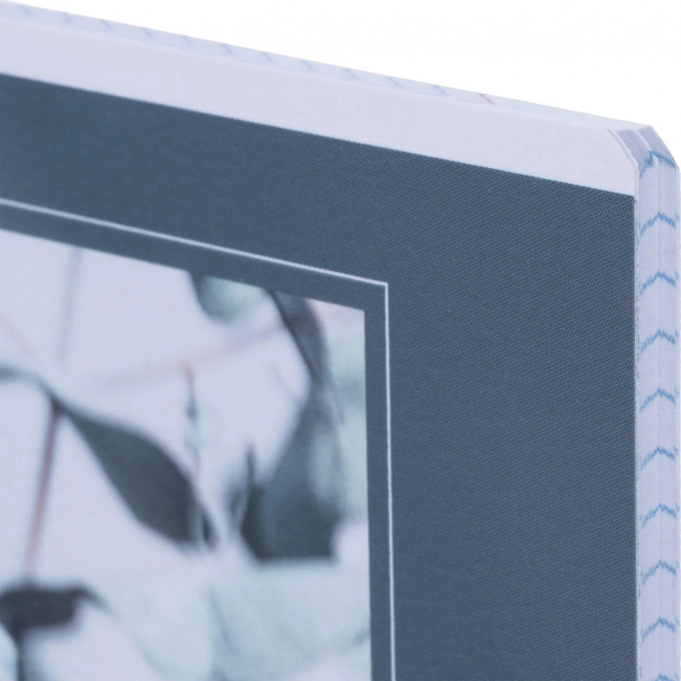 Тетрадь общая, BS, А5, 48л., клетка, скрепка. Botanica, эвк. популус N4166