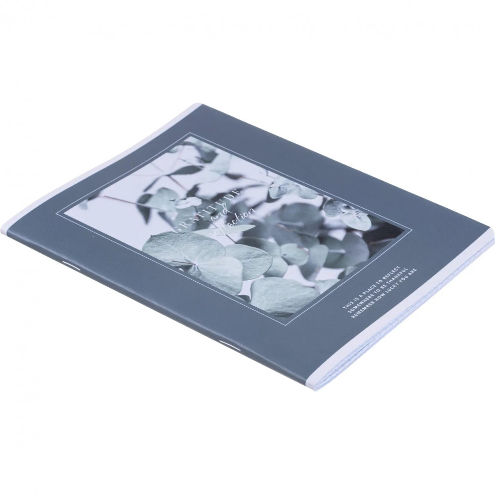 Тетрадь общая, BS, А5, 48л., клетка, скрепка. Botanica, эвк. популус N4166