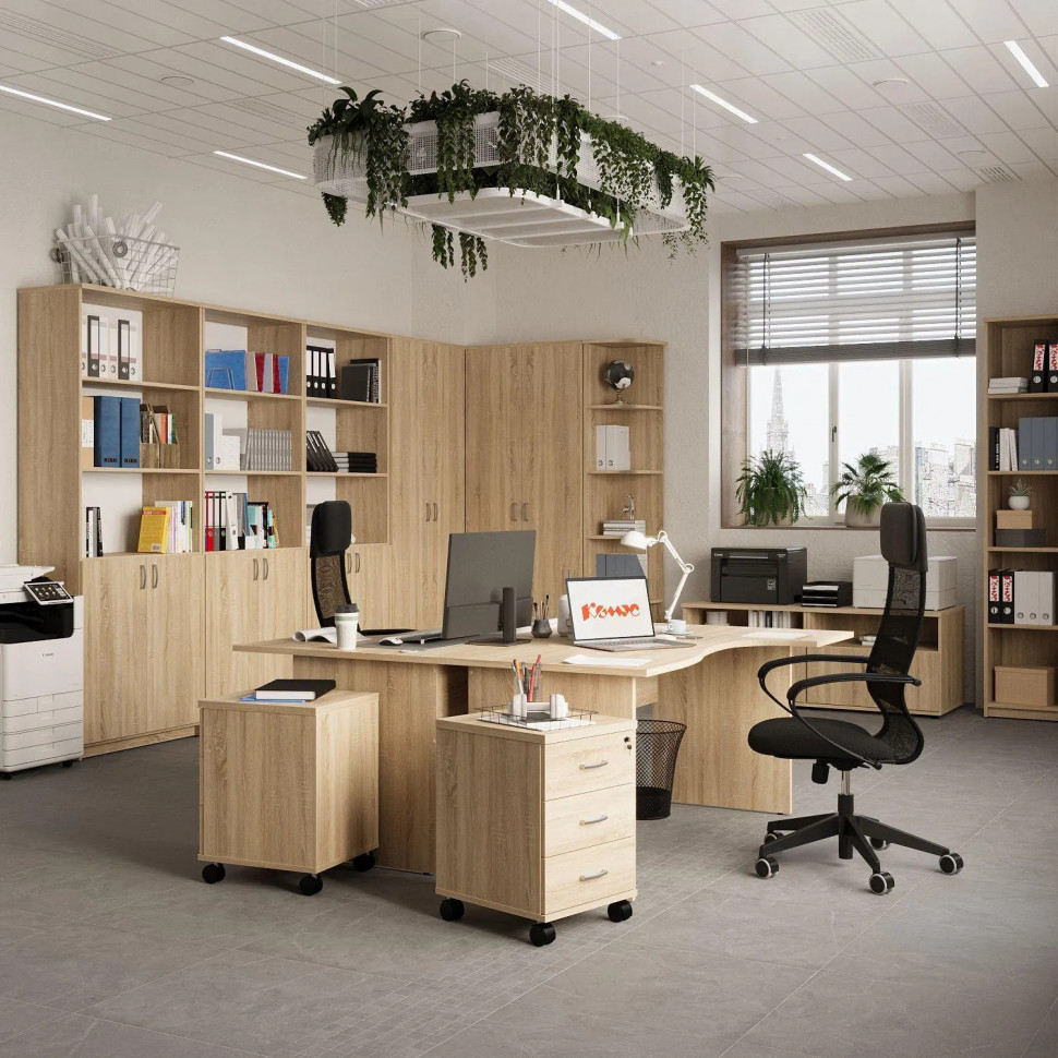 Корпус гардероба Easy One каркас 908852 дуб сонома (091) Г370