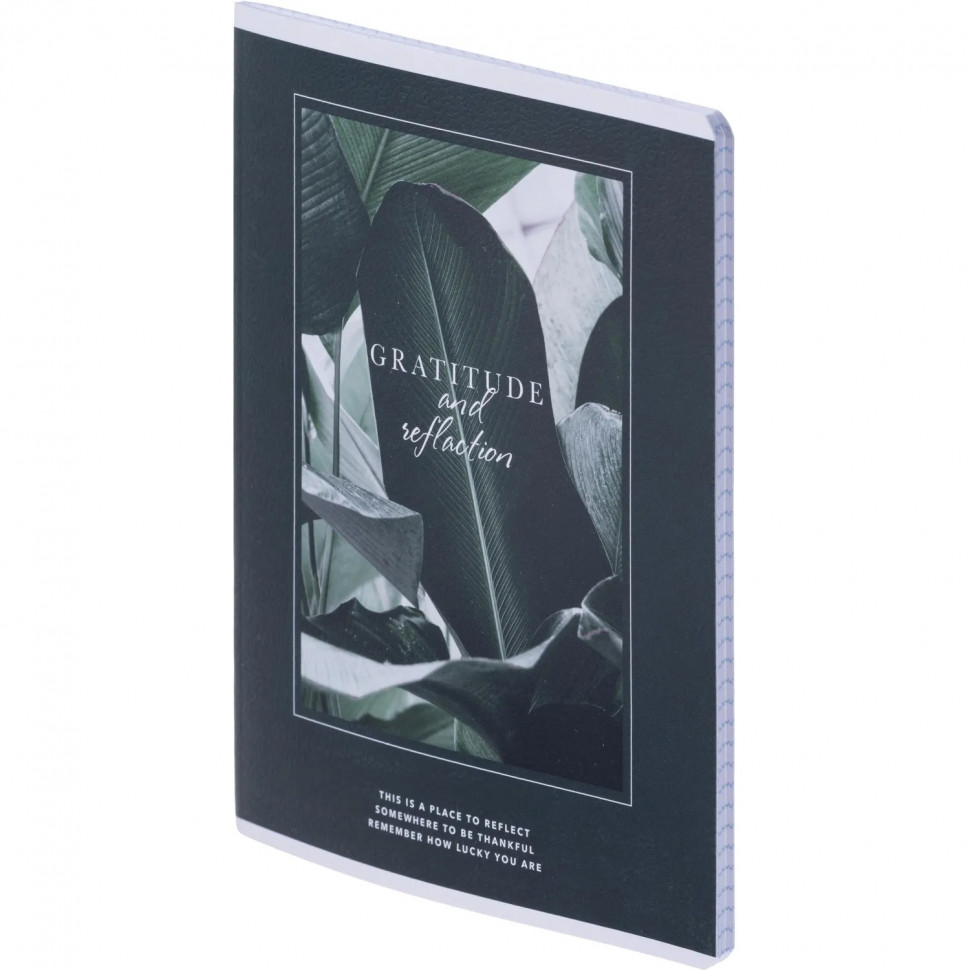 Тетрадь общая, BS, А5, 48л., клетка, скрепка. Botanica, банан рамка N4168