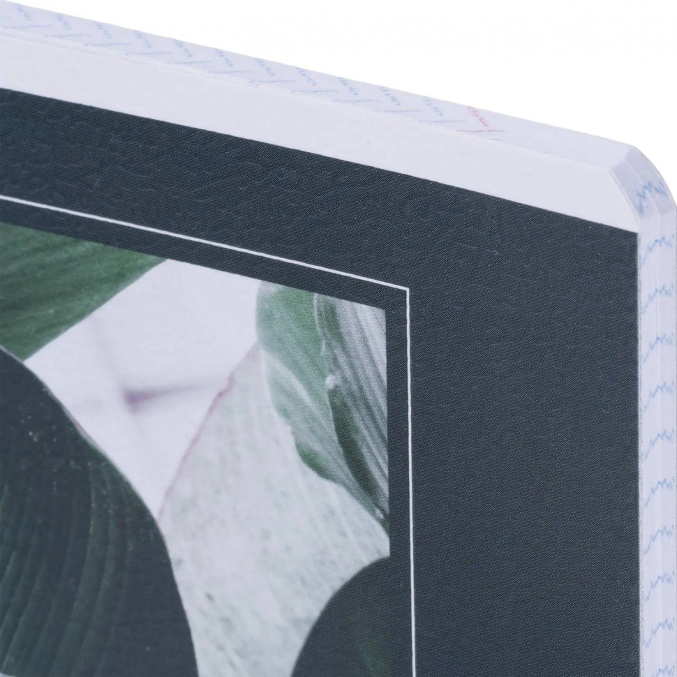 Тетрадь общая, BS, А5, 48л., клетка, скрепка. Botanica, банан рамка N4168