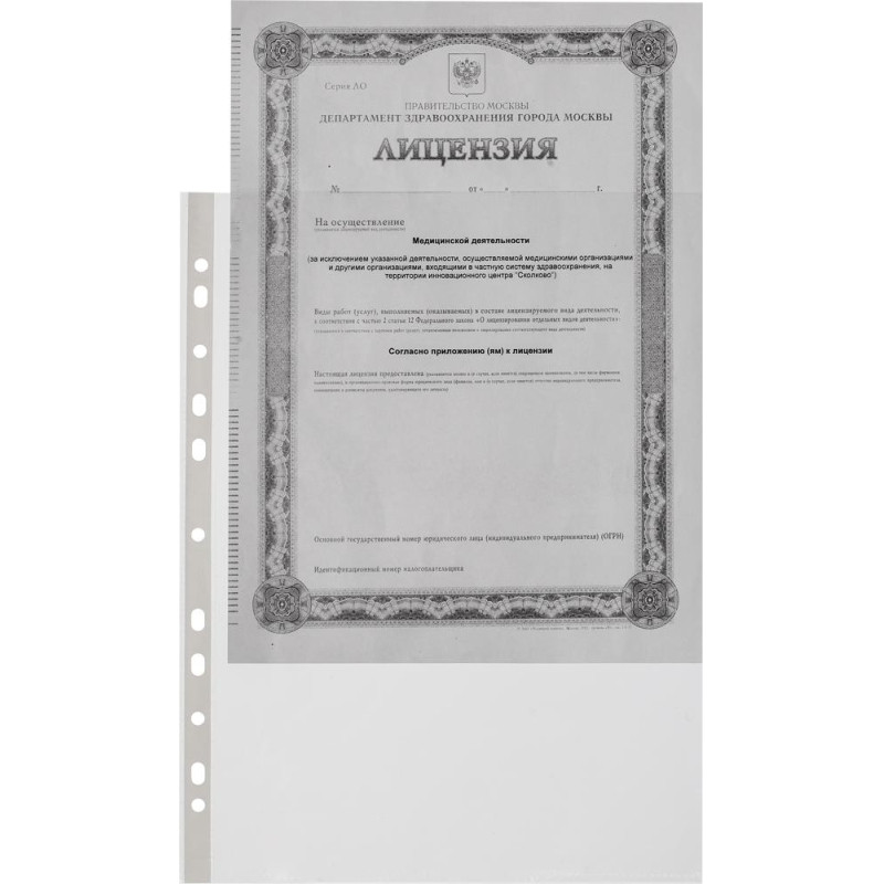 Файл-вкладыш А4, 45мкм, Attache Economy Элементари, рифленый, 100шт/уп Файл-вкладыш А4, 45мкм, Attache Economy Элементари, рифленый, 100шт/уп