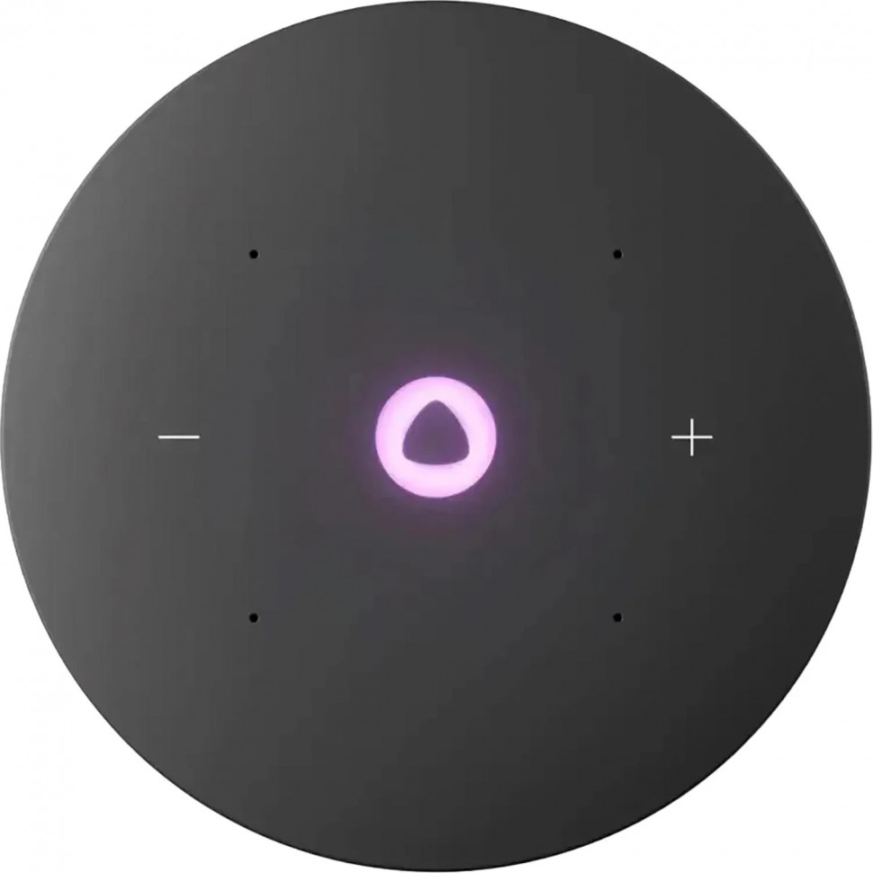 Умная колонка Яндекс Станция Мини 3 Про, Zigbee, чёрный (YNDX-00059BLK)