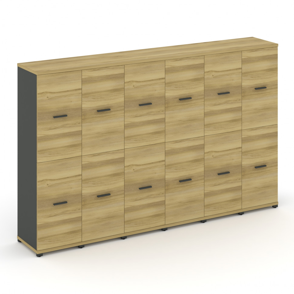 Concept Шкаф 6 узких секций, 4 ниши CN.STU-462 A Дуб Винченцо/Антрацит/Металл Антрацит 2500*420*1554