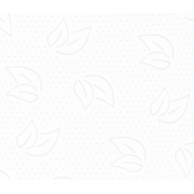 Бумага туалетная д/дисп Protissue ЦВ 2сл 215м 6рул/уп С352