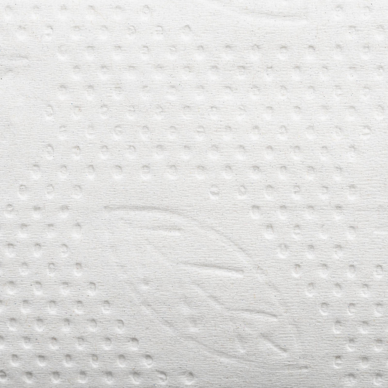 Бумага туалетная листовая д/дисп Торк ТЗ 1сл. 250л 40 пач/уп 114272