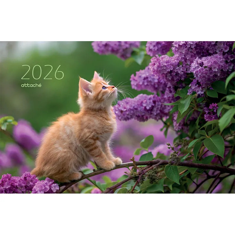 Календарь настенный 3-х блочный 2026 Attache, 305х675, Цветущая ветка, 80г