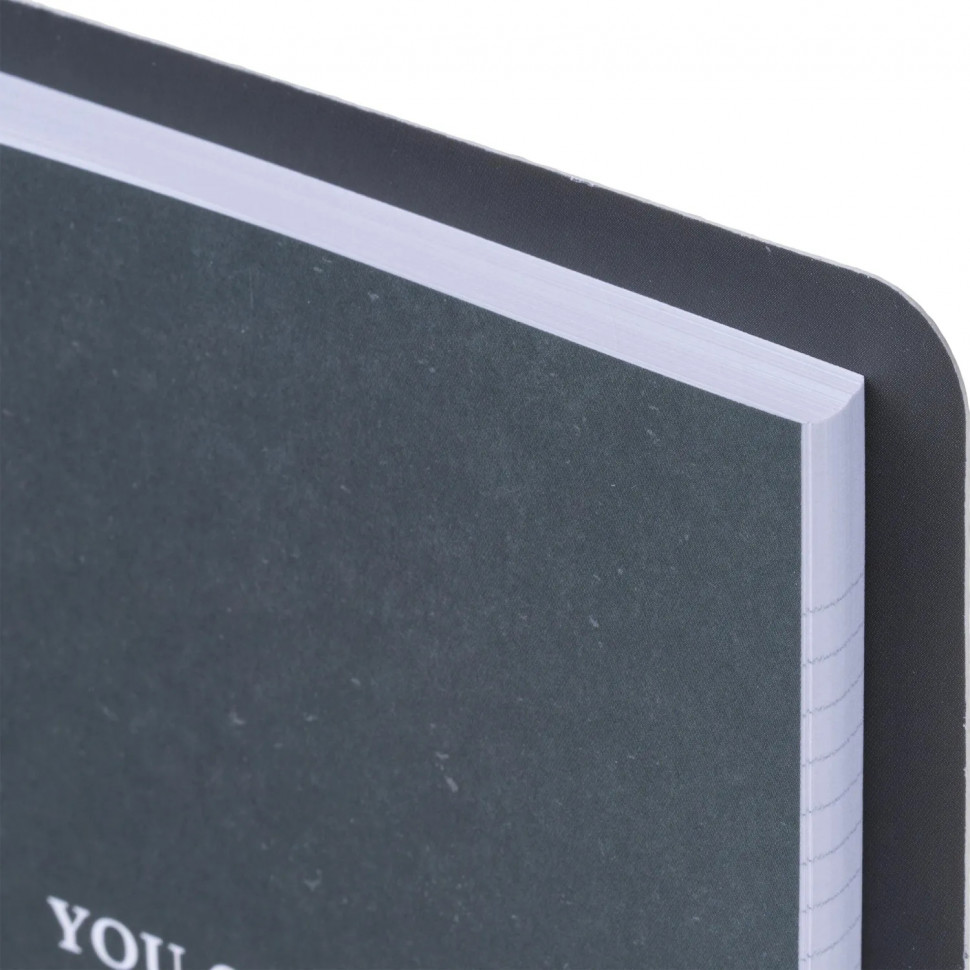 Тетрадь общая, BS, А5, 120л., клетка, кольца, Botanica, банан рамка N4763