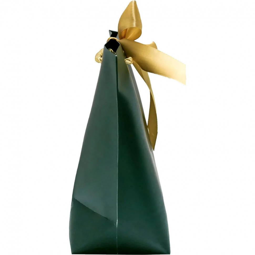 Пакет подарочный Present for you, 28 х 20 х 9 см, темно-зел., 4785005