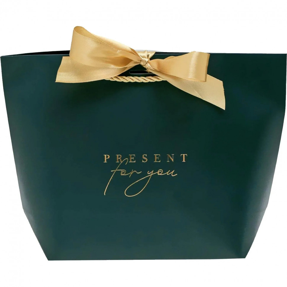 Пакет подарочный Present for you, 28 х 20 х 9 см, темно-зел., 4785005