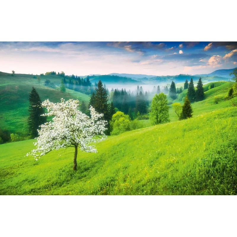 Календарь настенный 3-х блочный 2026 Attache, 190х465 мини, природа, 80г