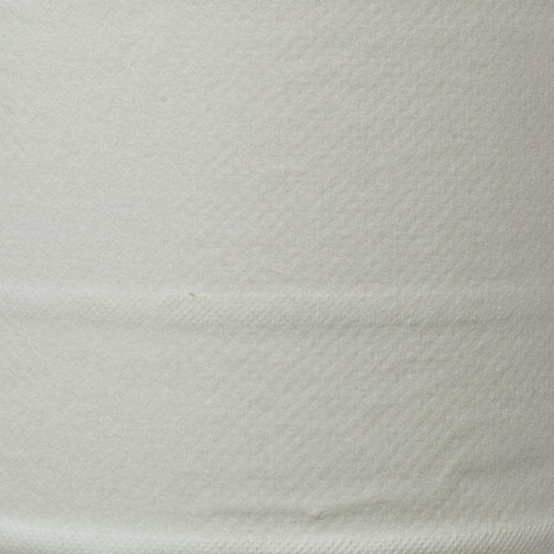 Бумага туалетная д/дисп Luscan Prof Etalon ЦВ 2сл бел цел 100м 12рул/уп