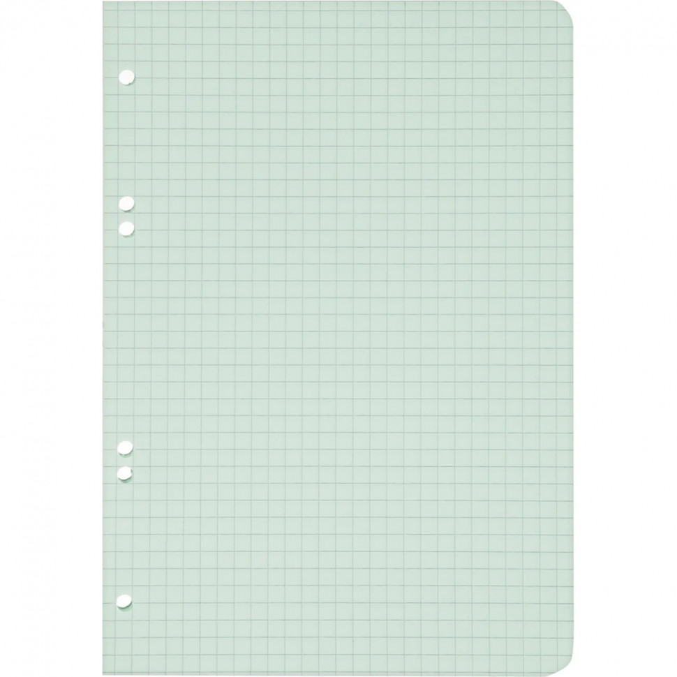 Сменный блок д/тетр на кольц, А5, 50л, клетка, 6 колец, зеленый СБЦ505172