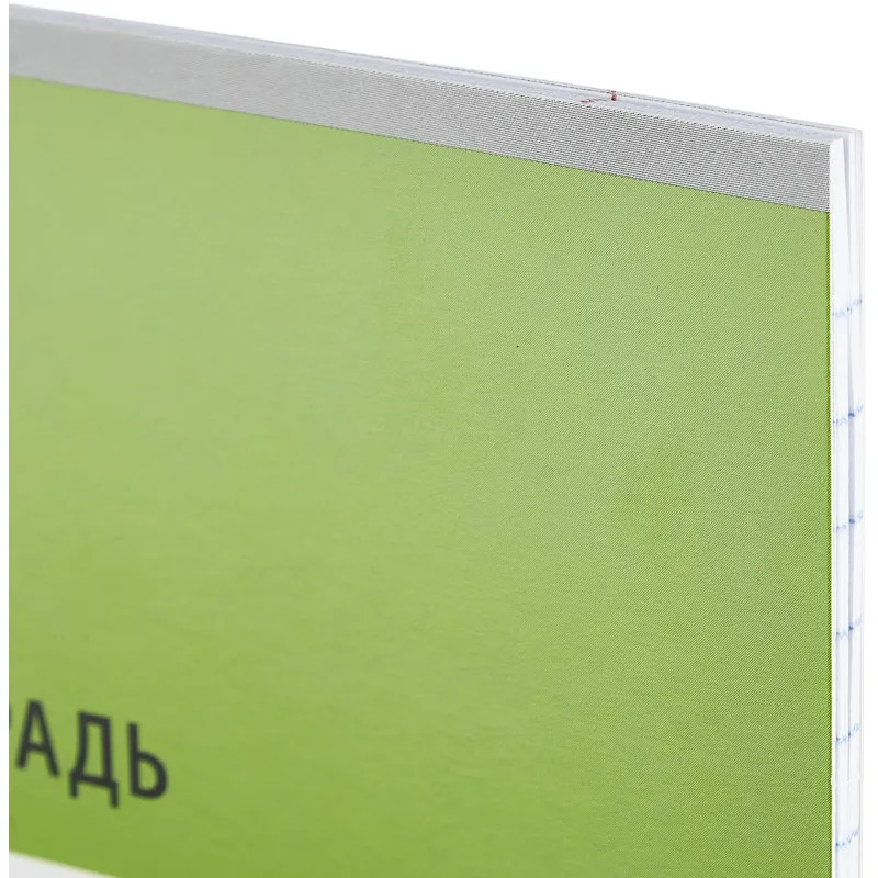 Тетрадь школьная А5, 18 л. линия, Интенсив Зеленый, 10шт/уп арт.1711059