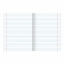Тетрадь 24 л. BRAUBERG КЛАССИКА NEW линия, обложка картон, АССОРТИ (5 видов), 105704