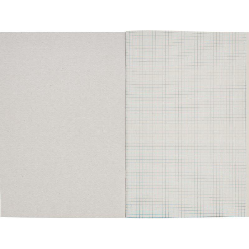 Тетрадь общая А4,48л,кл,скоб,офсет-2 Attache Ice син/зел