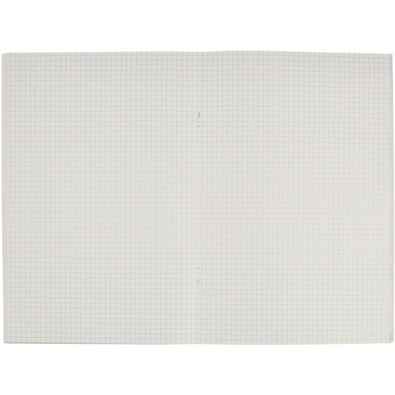 Тетрадь общая А4,48л,кл,скоб,офсет-2 Attache Ice син/зел