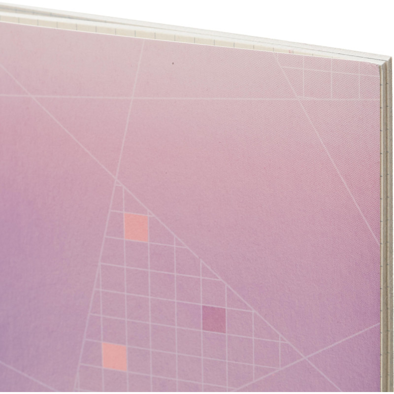 Тетрадь общая А5,48л,кл,скоб,офсет-2 Attache Ice фиолет/красная