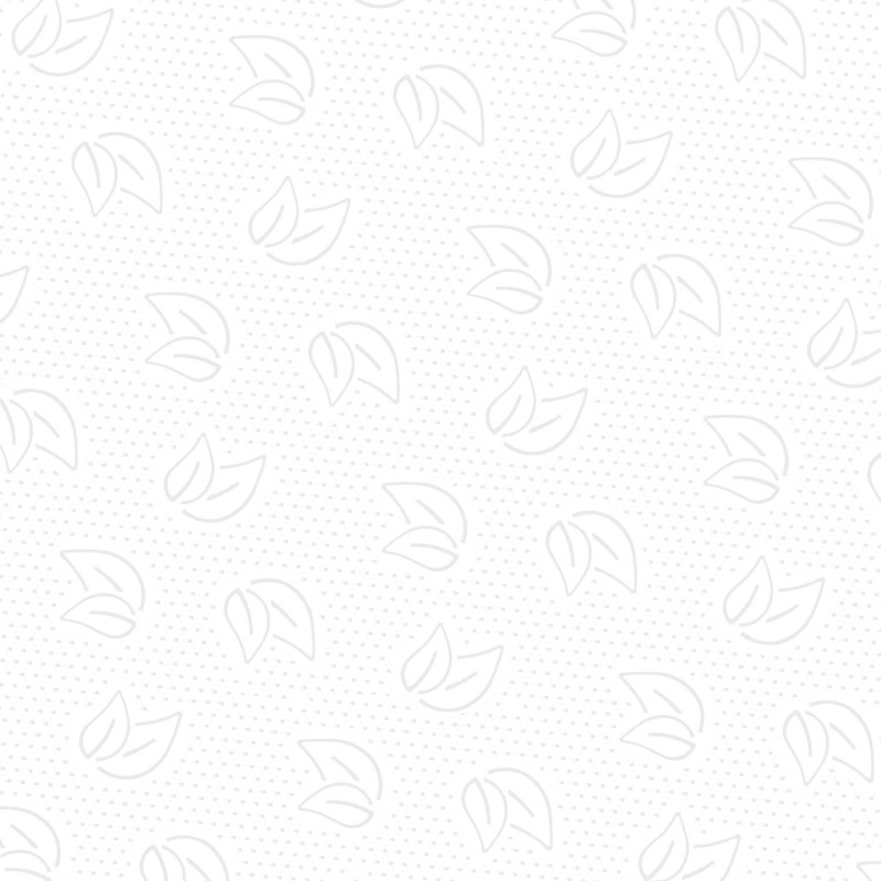 Полотенца бумажные Z слож PROtissue 2сл 200л 21пач/уп С442