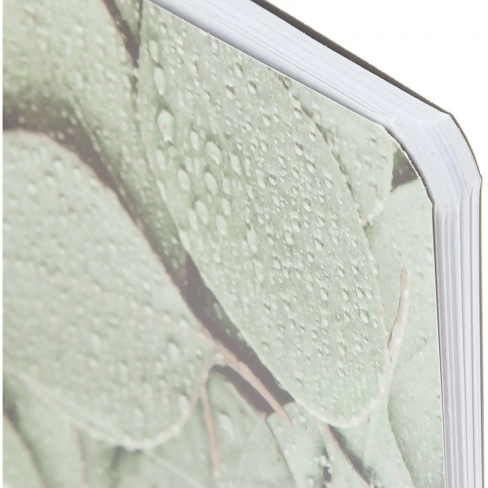 Блокнот BS, 13х21см, 48л, скрепка Botanica эвкалипт Д/зап. ин. слов N4126