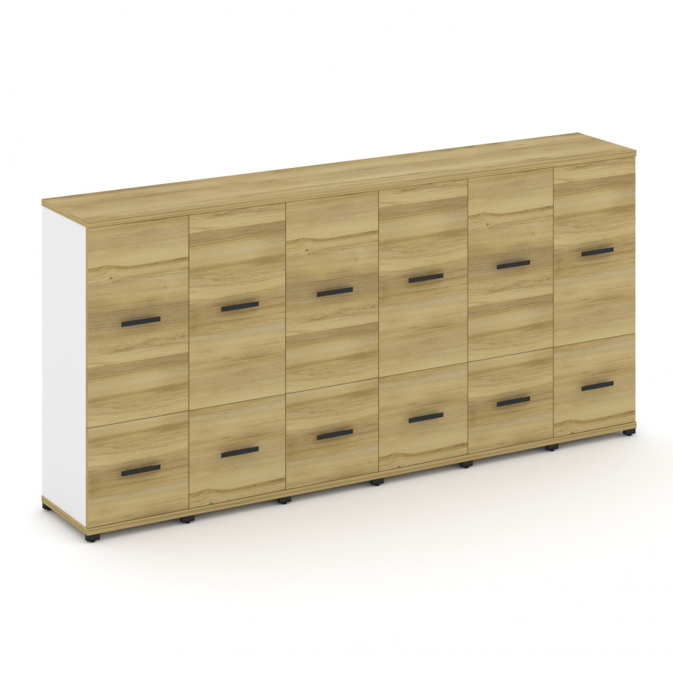 Concept Шкаф 6 узких секций, 3 ниши CN.STU-362 B Дуб Винченцо/Белый Бриллиант/Металл Черный 2500*420 Concept Шкаф 6 узких секций, 3 ниши CN.STU-362 B Дуб Винченцо/Белый Бриллиант/Металл Черный 2500*420