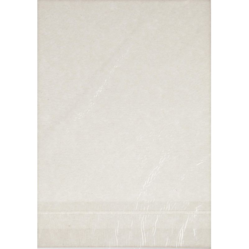 Картон цветной 10л.10цв.А4 немелов(золото+сереб) Отличник