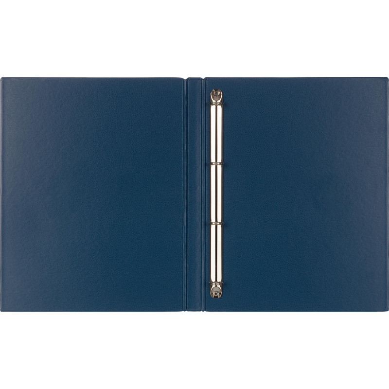 Папка на 4-х кольцах 25мм синяя Россия
