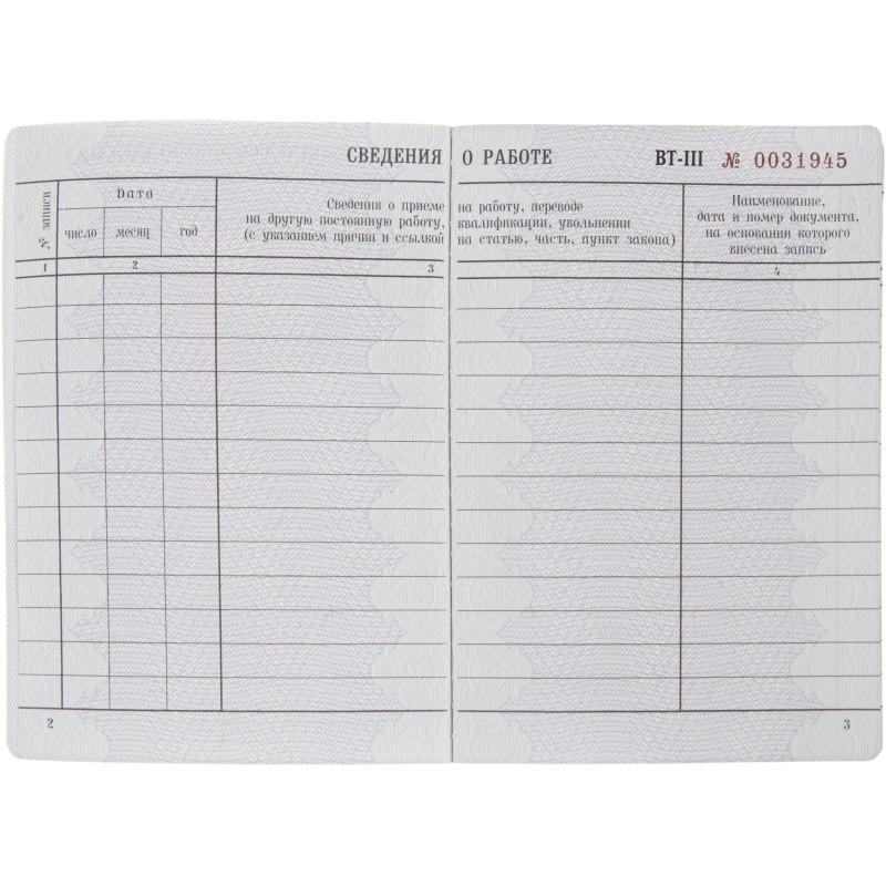Бланк Вкладыш к трудовой книжке (новый 2023г)