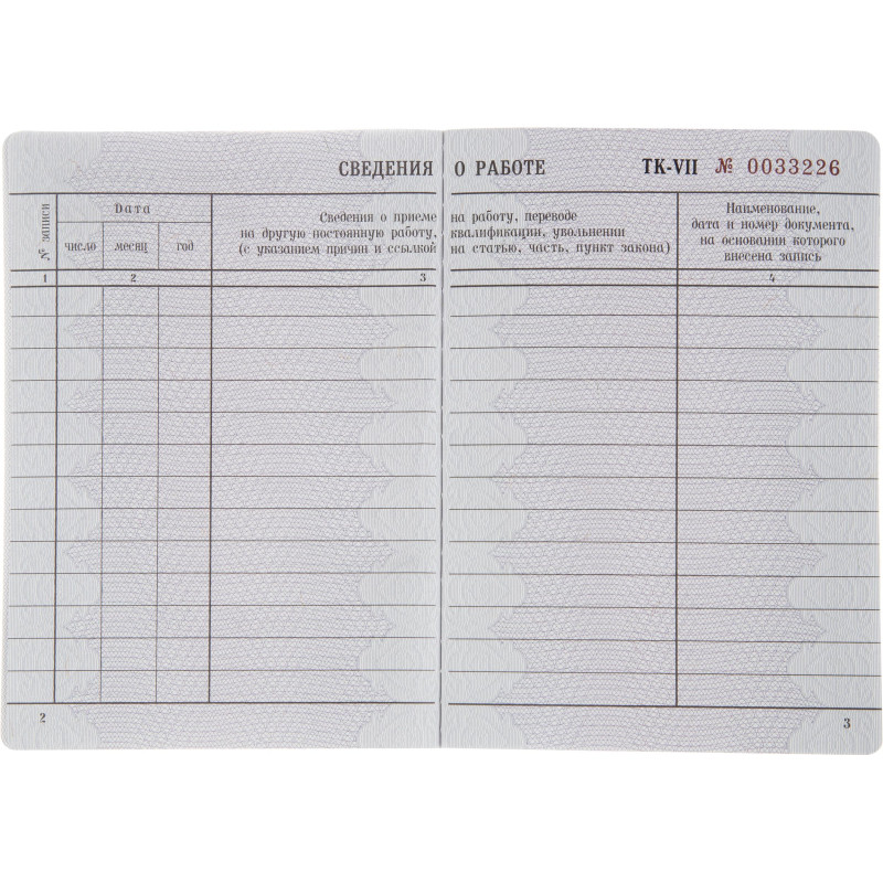 Бланк Трудовая книжка (новый 2023г)