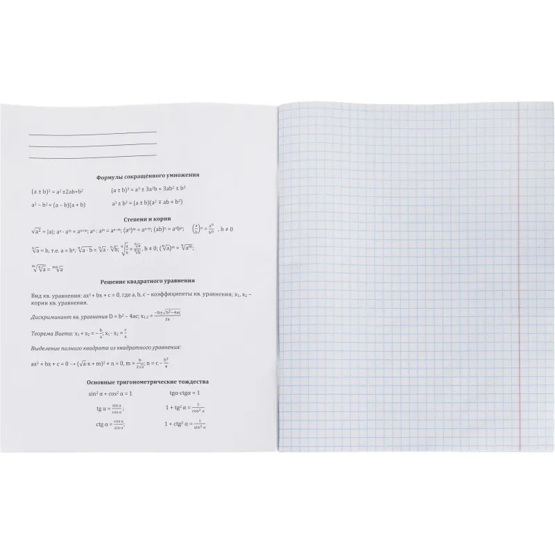 Тетрадь КЛЕТКА 48л. АЛГЕБРА 'ОСТРОУМИЕ И ОТВАГА', 48-2398