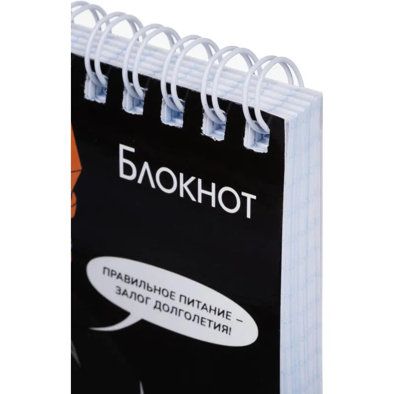 Блокнот А6, 96л, КОЩЕЙ БЕССМЕРТНЫЙ клетка,гребень,УФ-лак/70137