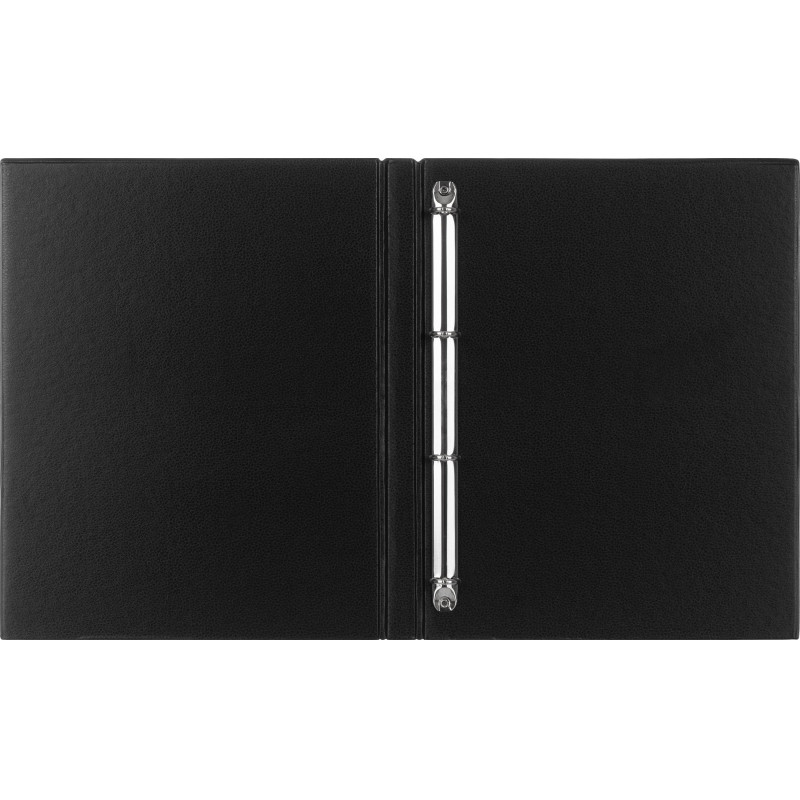 Папка на 4-х кольцах 25мм  черная Россия