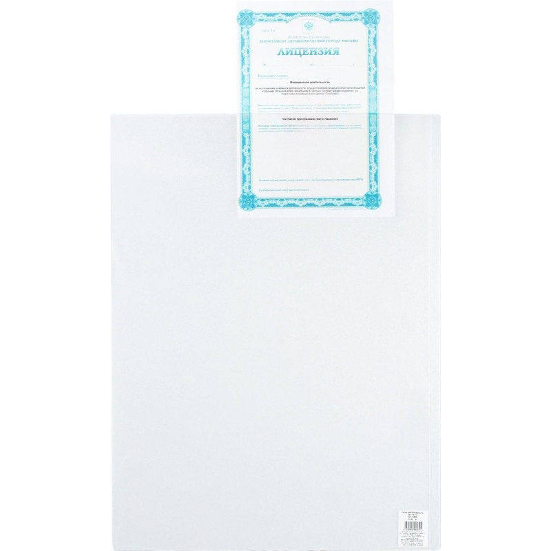 Файл-вкладыш А2, ПВХ , 180 мкм Файл-вкладыш А2, ПВХ , 180 мкм