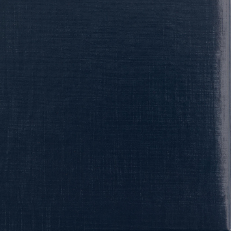 Папка адресная без тиснения бумвинил с поролоном синяя