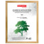 Рамка 30х40 см, дерево, багет 18 мм, BRAUBERG "HIT", канадская сосна, стекло, 390026