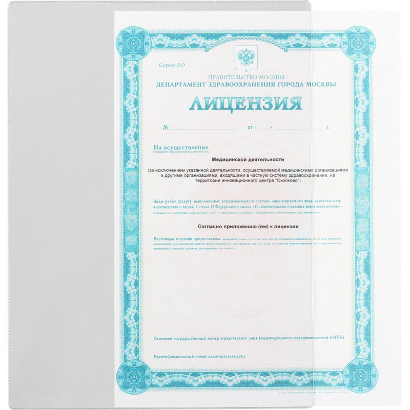 Файл-вкладыш для документов и свидетельств А4 305x222(ДПС)