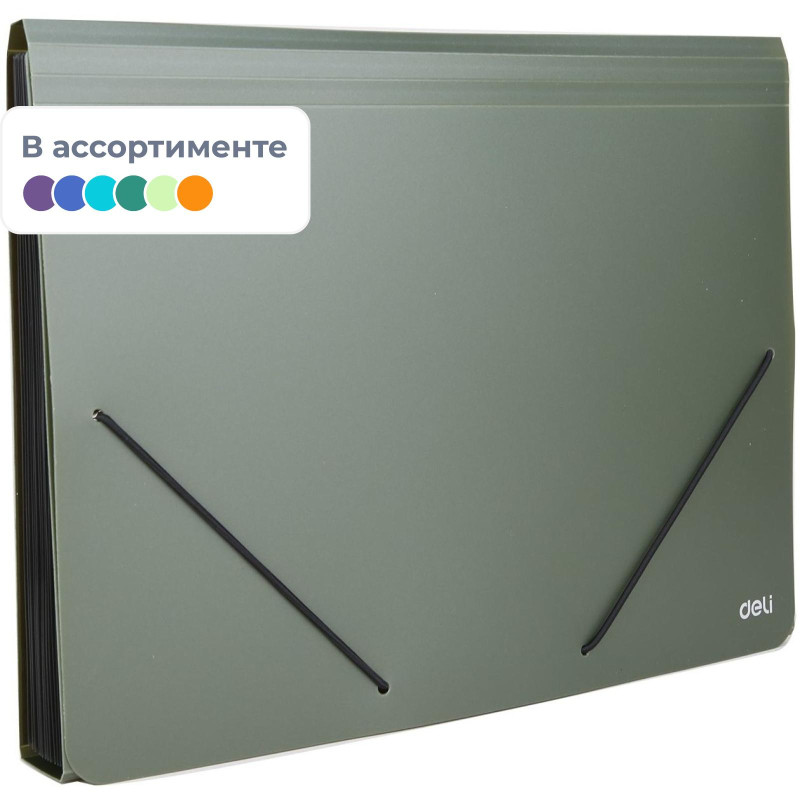 Папка органайзер Start на резин горизонтА4 13отд РР 0,75мм в ассортим E5551