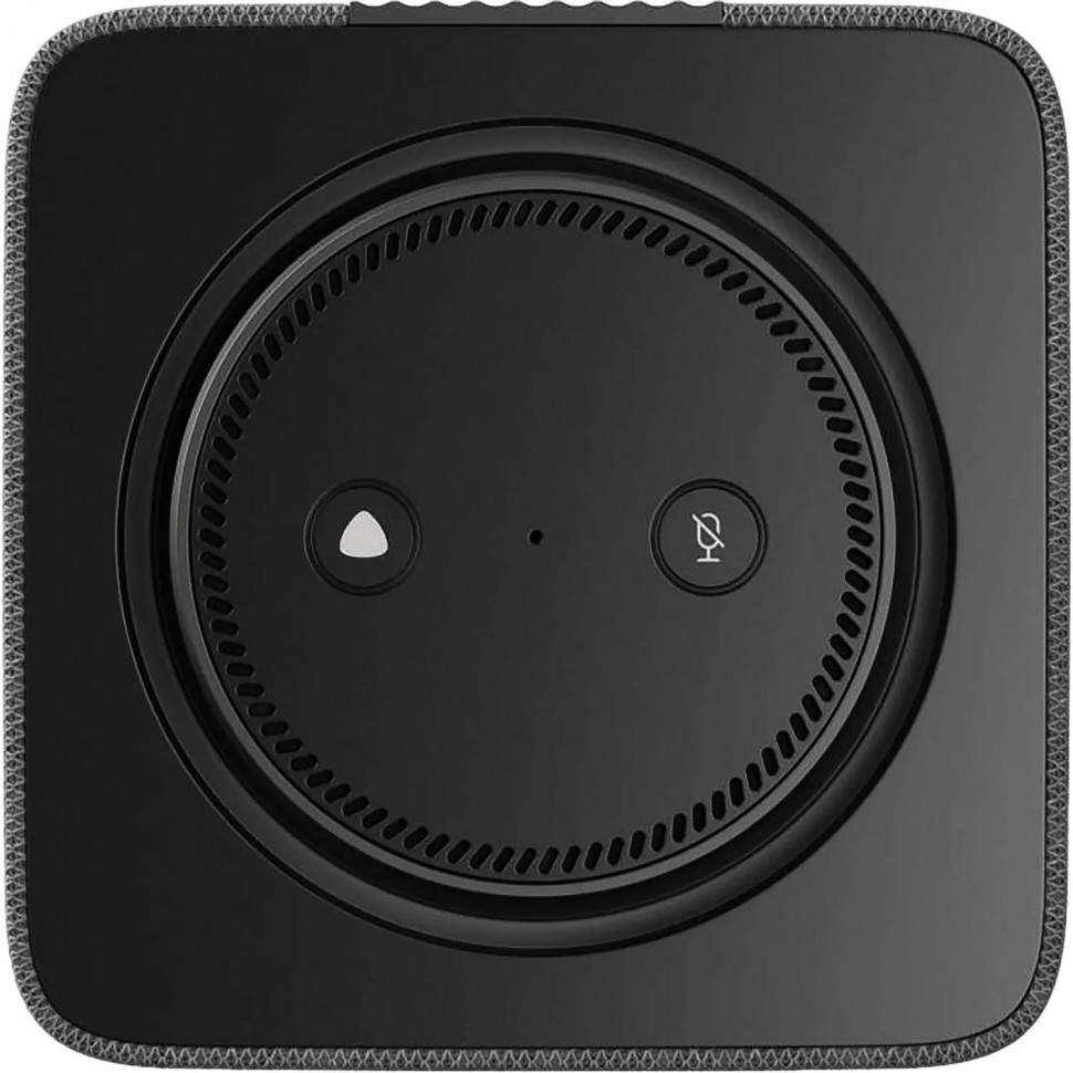 Умная колонка Яндекс Станция Макс Zigbee, графит/black (YNDX-00053K)
