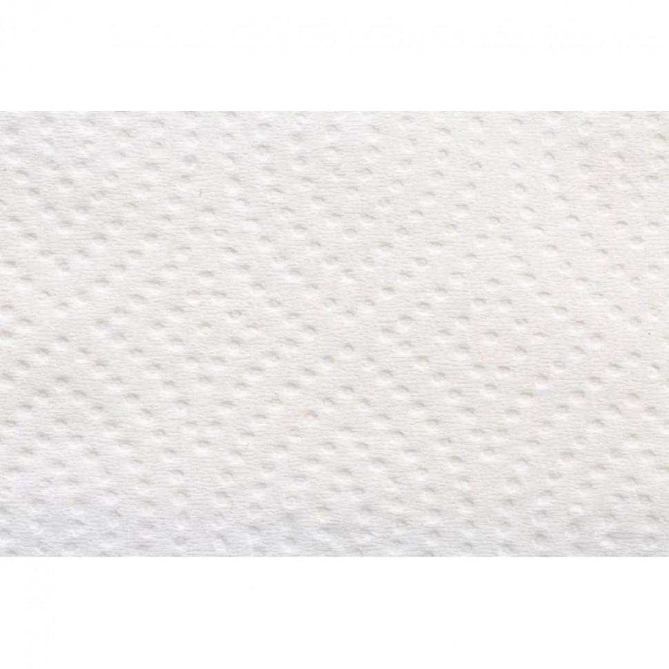 Полотенца бумажные д/дисп FOCUS SMART Vсл 2сл 200л 12пач/уп_5103218