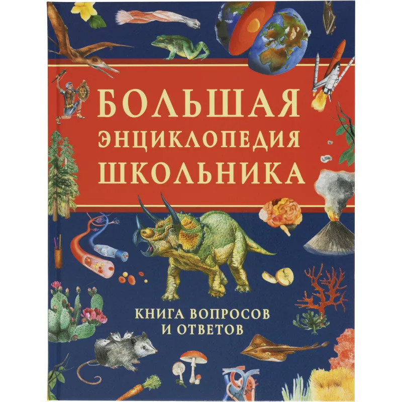 Энциклопедия школьника .Книга вопросов и ответов, 63934 Энциклопедия школьника .Книга вопросов и ответов, 63934