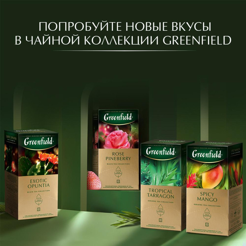 Чай Greenfield Currant and Mint черный фольгир. 25пак/уп 1249-10