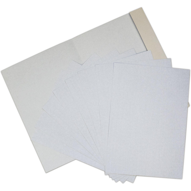 Картон белый 8л,А4 Луч Школа творчества немелованный в папке 1792-08